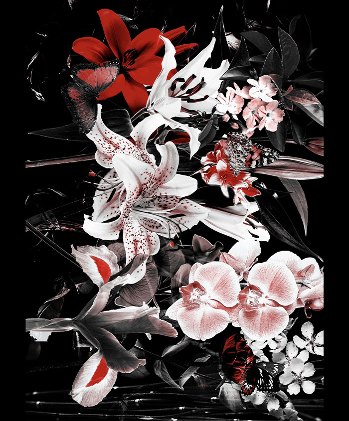 flower poster ver1 [紅花 ; 홍화]